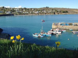 Artist Joanne Short loves the spring sunshine and daffodils in Coverack, Cornwall John Dyer Gallery