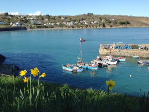Artist Joanne Short loves the spring sunshine and daffodils in Coverack, Cornwall