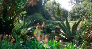 Planted to Paint Clos-du-Peyronnet. MENTON’S LAST GARDEN John Dyer Gallery