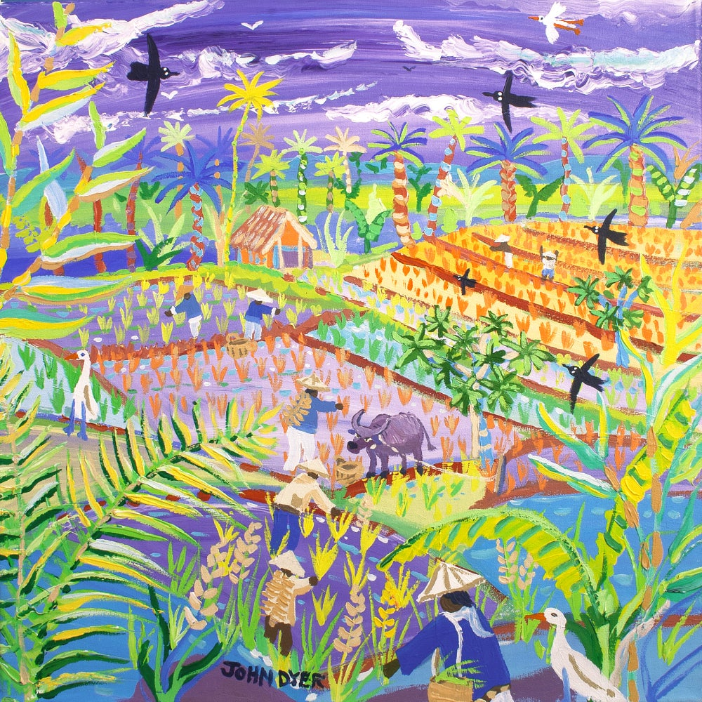 John Dyer painting of the rice harvest in the Philippines for IRRI