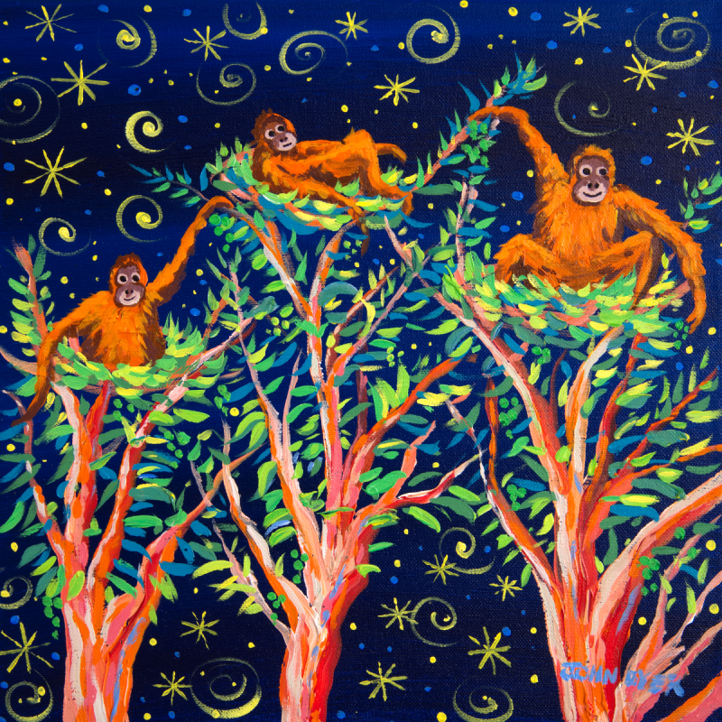 Signed print by artist John Dyer of three baby orangutans in their nests in the Borneo rainforest night.