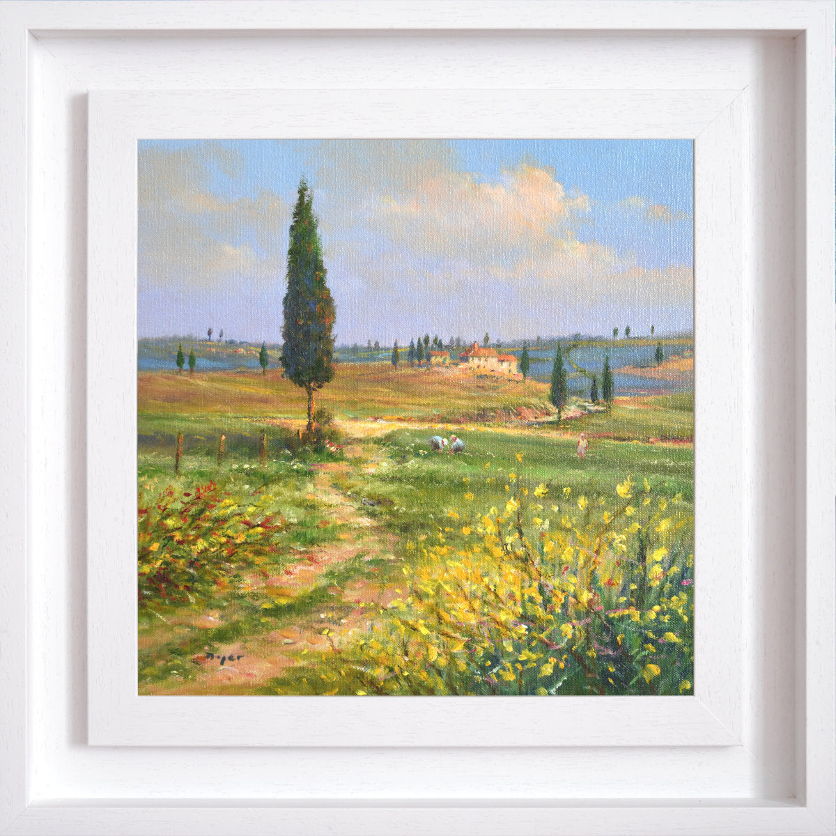 'Tree by the Path, Montalcino, Tuscany, Italy', 14x14 inches oil on canvas. Painting by Artist Ted Dyer.