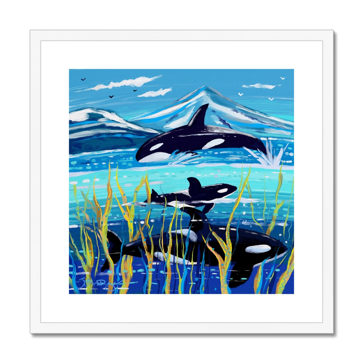 John Dyer Orca - Killer Whale Framed Open Edition Ocean Fine Art Print. Animal Art Prints