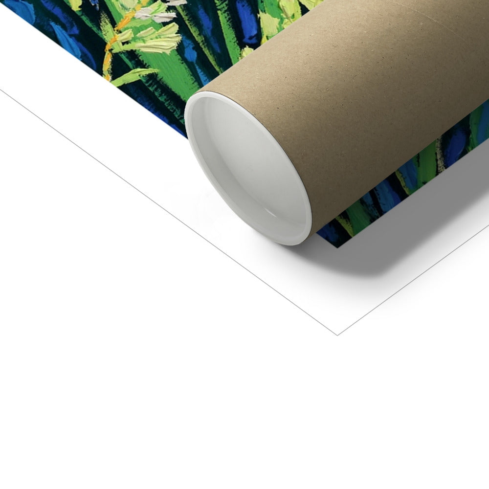 John Dyer Fine Art French Print 'The Spirit of the Camargue, Rice,White Horses and Flamingoes, Aigues-Mortes, Provence'. Open Edition Art Print of France