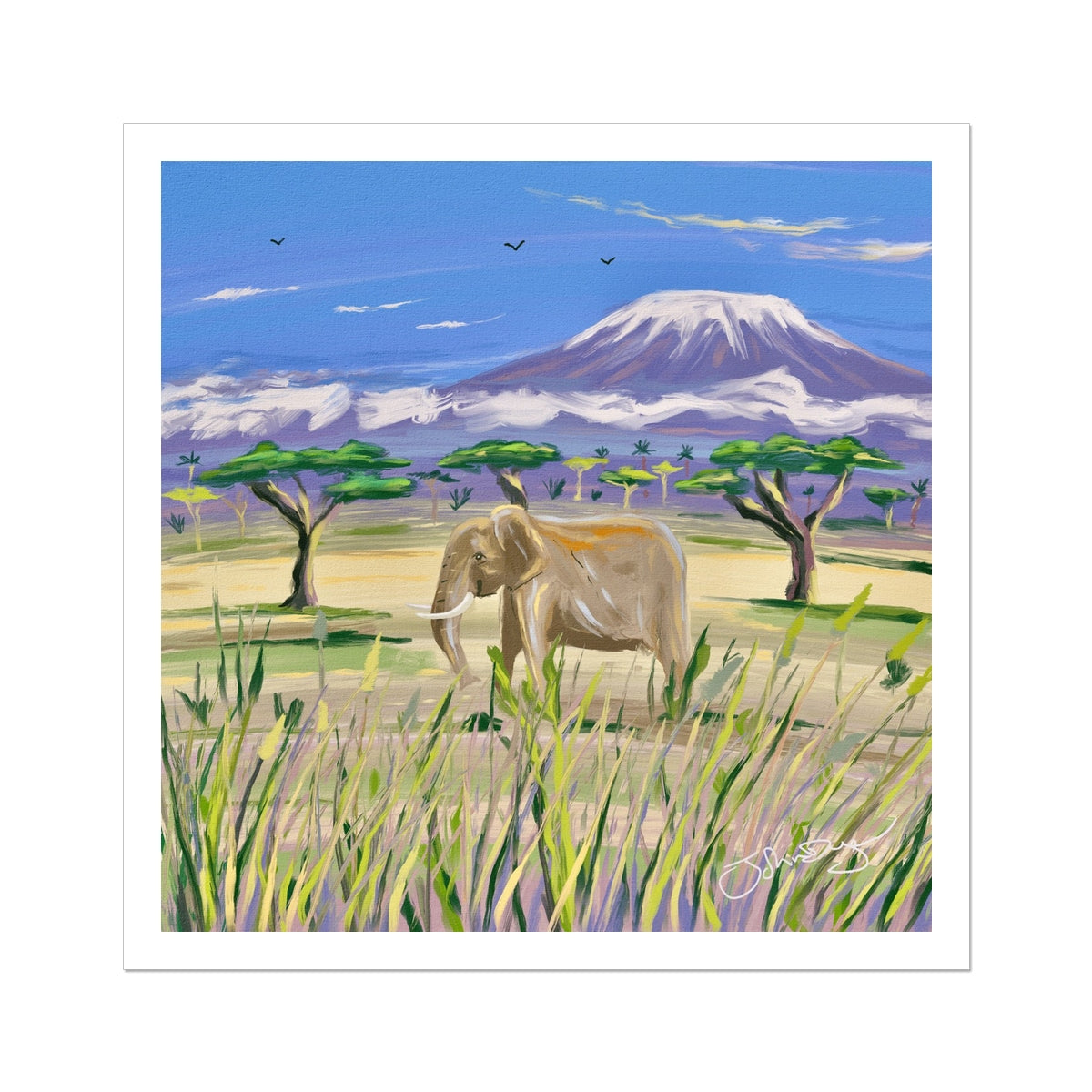 John Dyer African Elephant, Open Edition Fine Art Print. Animal Art Prints