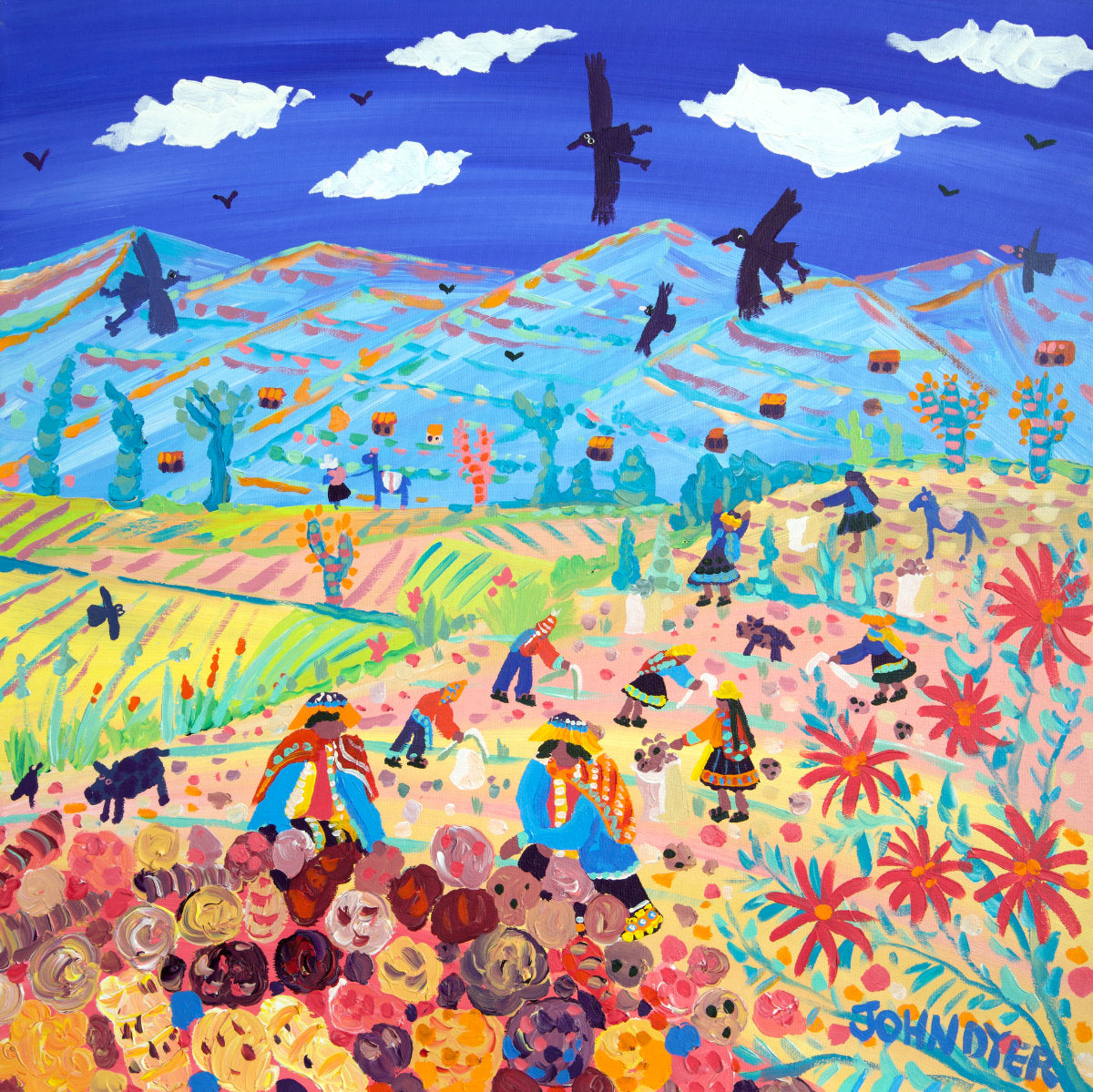 Colorful artwork of people in a field with mountains and birds in the sky. 'Andean Potato Pickers, Amaru, Peru'. 24x24 inches acrylic on canvas. Paintings of Peru by John Dyer from our Online Art Gallery