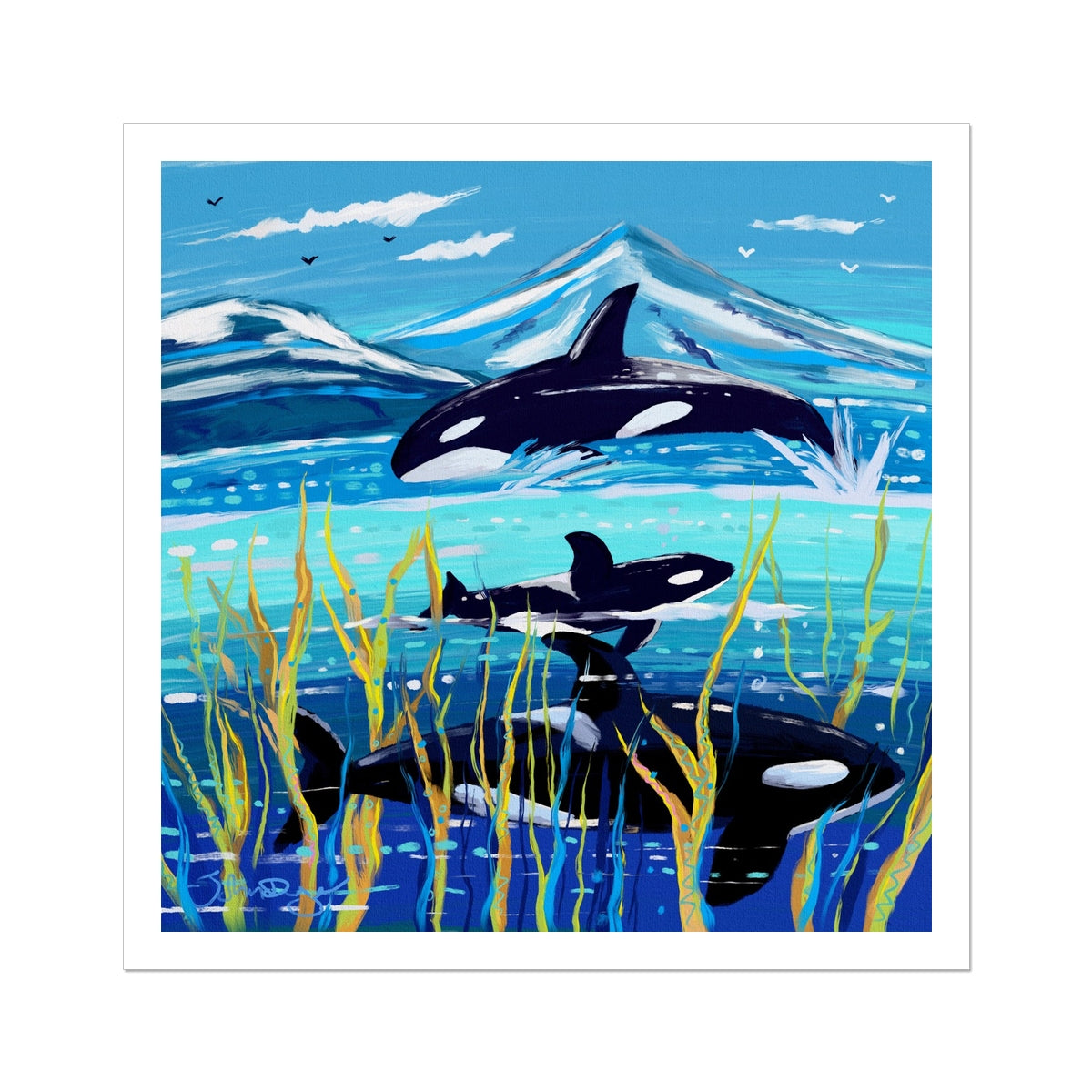 John Dyer Orca - Killer Whale Open Edition Fine Art Print. Animal Art Prints