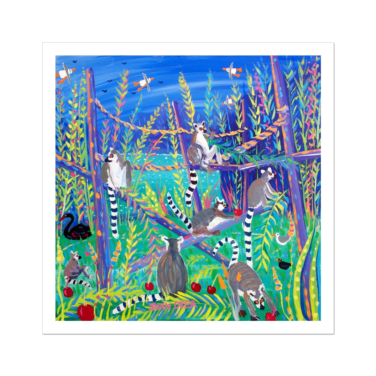 John Dyer Ring Tailed Lemurs eating Cherries, Open Edition Fine Art Print. Animal Art Prints