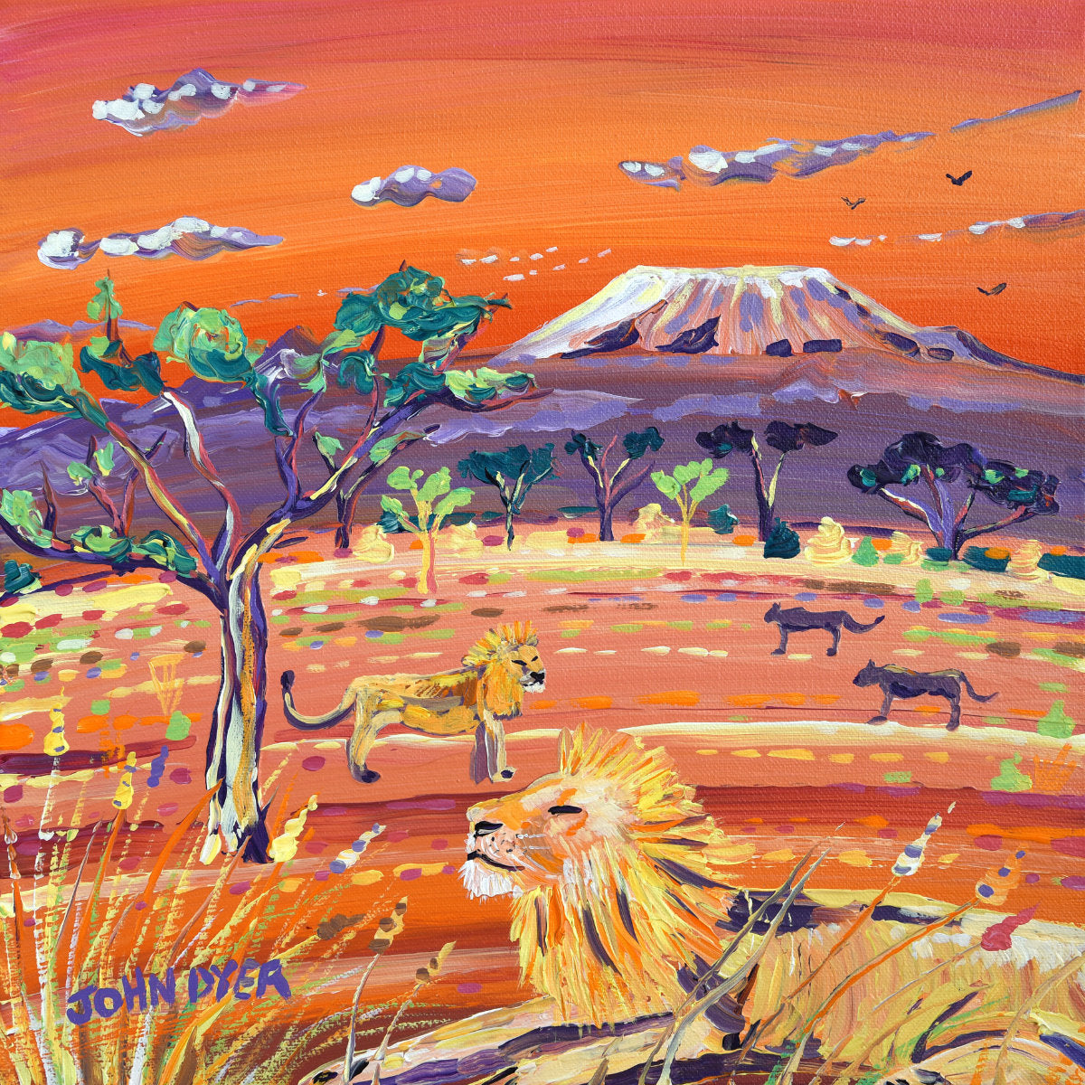 &#39;Sunset Lions, Kenya&#39;, 12x12 inches acrylic on canvas. Paintings of Africa by British Artist John Dyer.