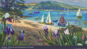 A Closer Look with Aria — 'Wild Irises and Sailing Boats at St Mawes', 24x36 inches oil on canvas. Seascape Painting of Cornwall by Cornish Artist Ted Dyer.