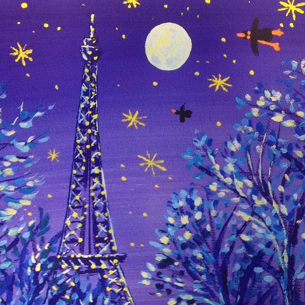Limited Edition Print. &#39;Cycling under the Moon, Paris&#39;.  By Artist John Dyer