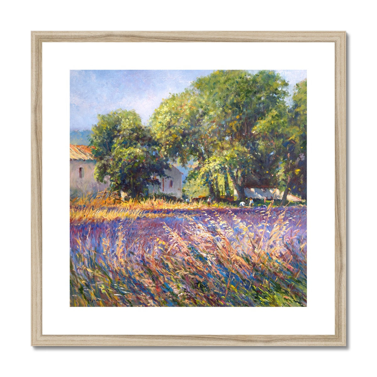 Ted Dyer Framed Open Edition Cornish Fine Art Print. &#39;Lavender Time, Provence&#39;. Cornwall Art Gallery
