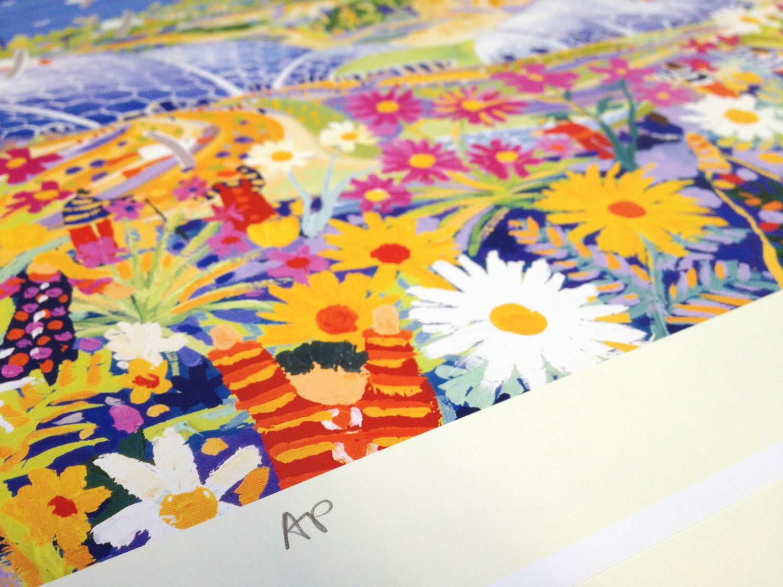 Official Signed Eden Project Print by Cornish Artist John Dyer. 'Wild Cornwall, The Eden Project Garden'. Cornwall Art Gallery Print John Dyer