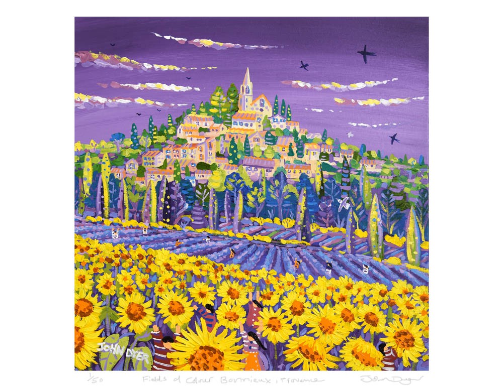 Limited Edition French Print of Sunflowers and Lavender by John Dyer. 'Fields of Colour, Bonnieux, Provence'.