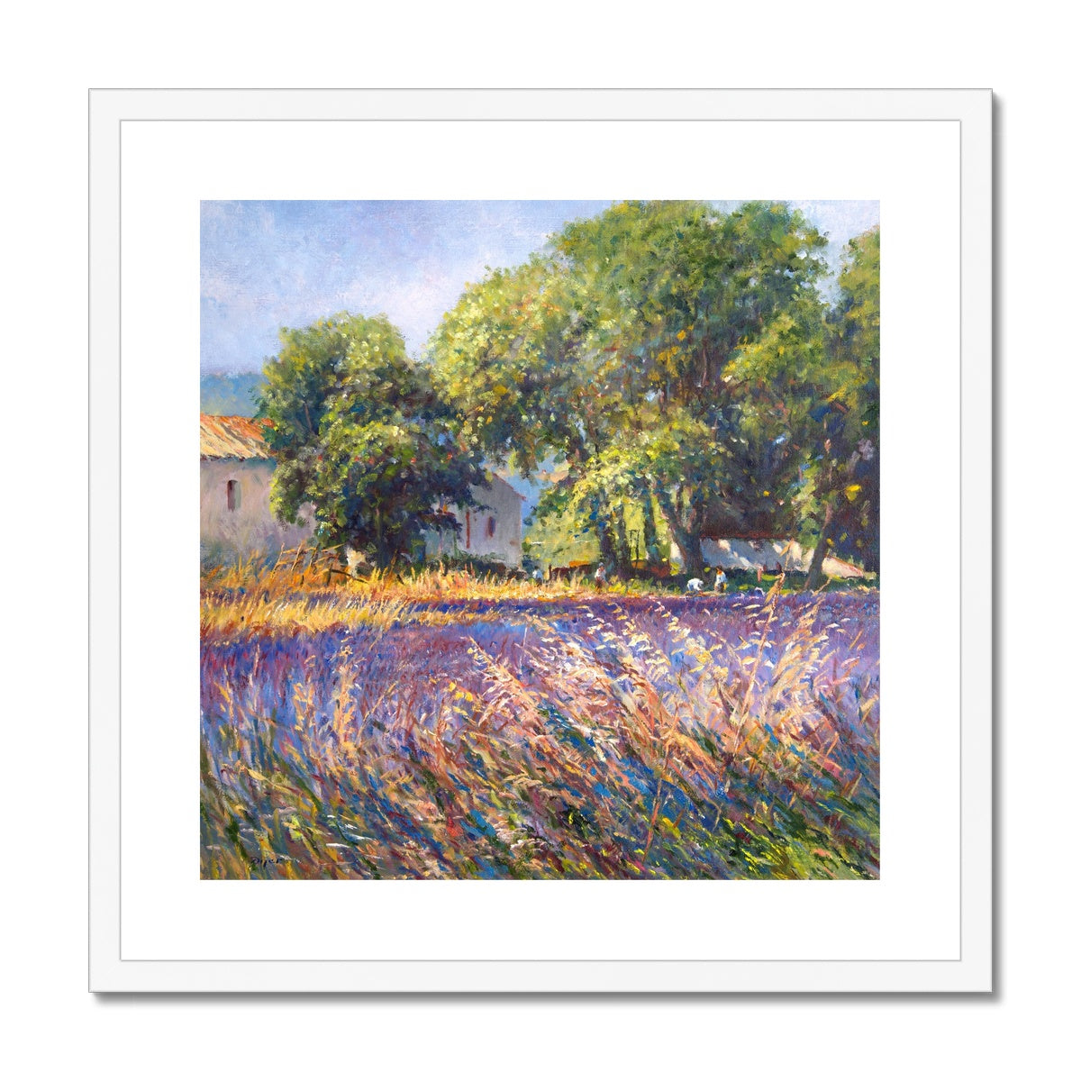 Ted Dyer Framed Open Edition Cornish Fine Art Print. &#39;Lavender Time, Provence&#39;. Cornwall Art Gallery
