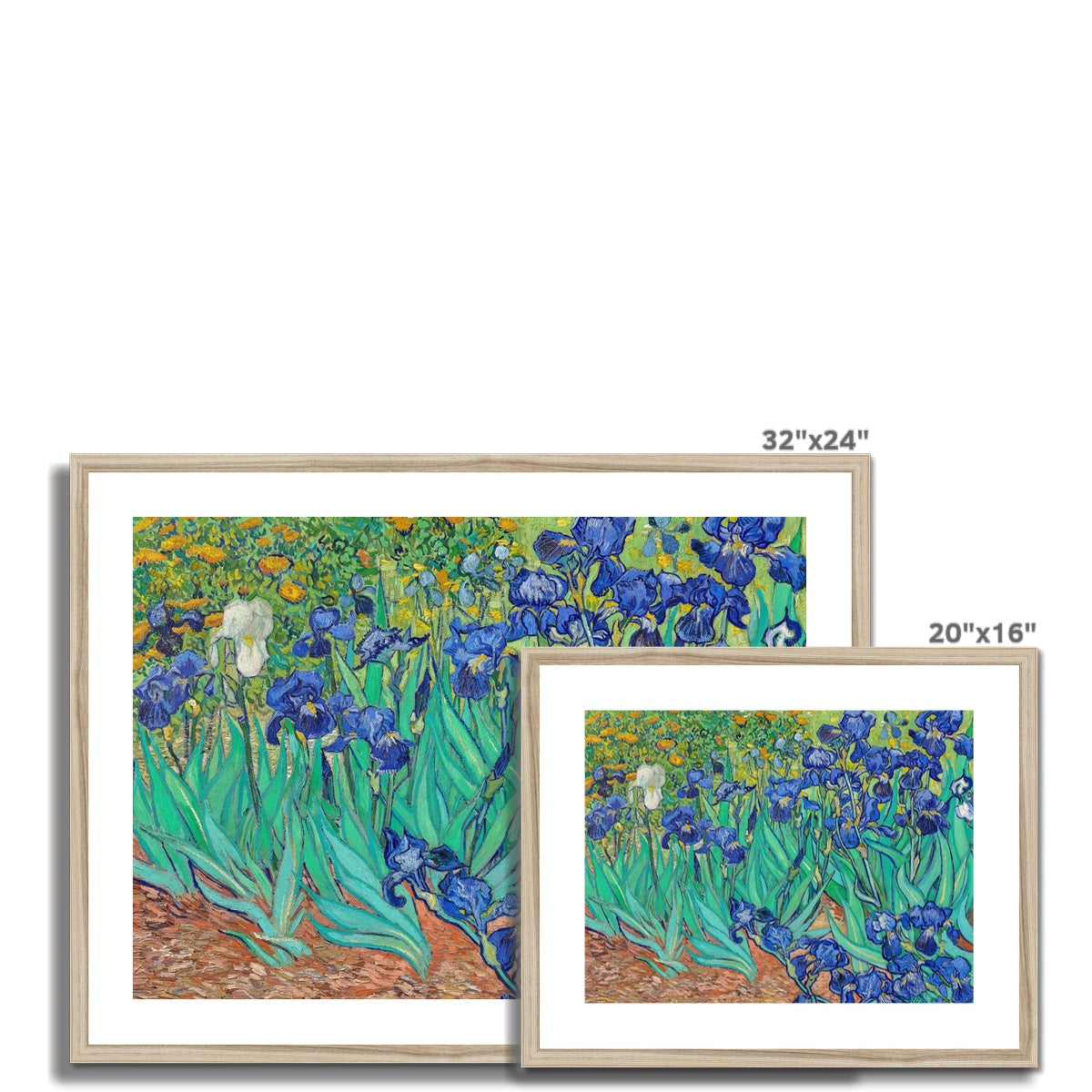 Vincent Van Gogh Framed Open Edition Art Print. &#39;Irises&#39;. Art Gallery Historic Art
