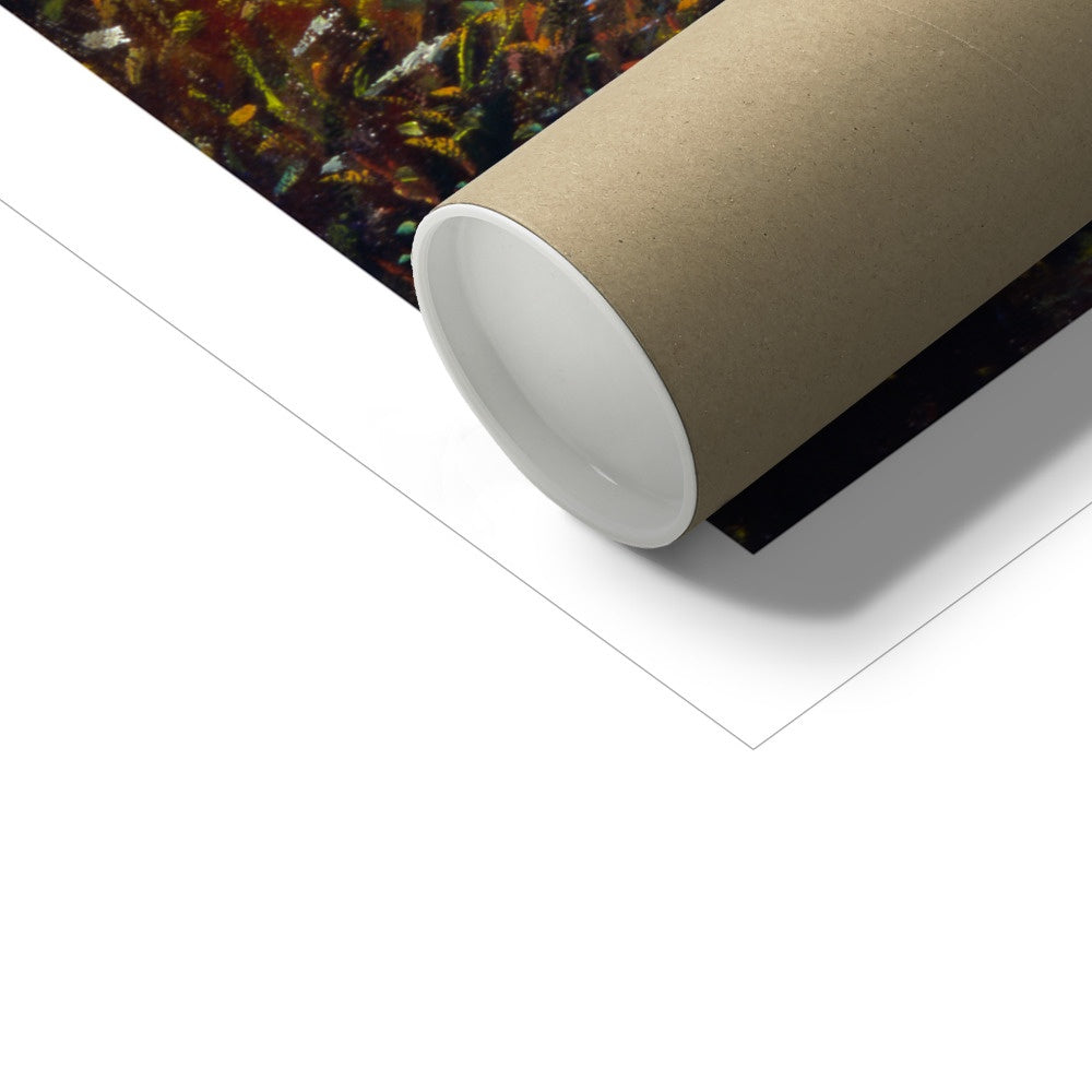 Ted Dyer Fine Art Print. Open Edition Cornish Art Print. 'Blackberry Path to the Beach, St Anthony in Roseland'. Cornwall Art Gallery