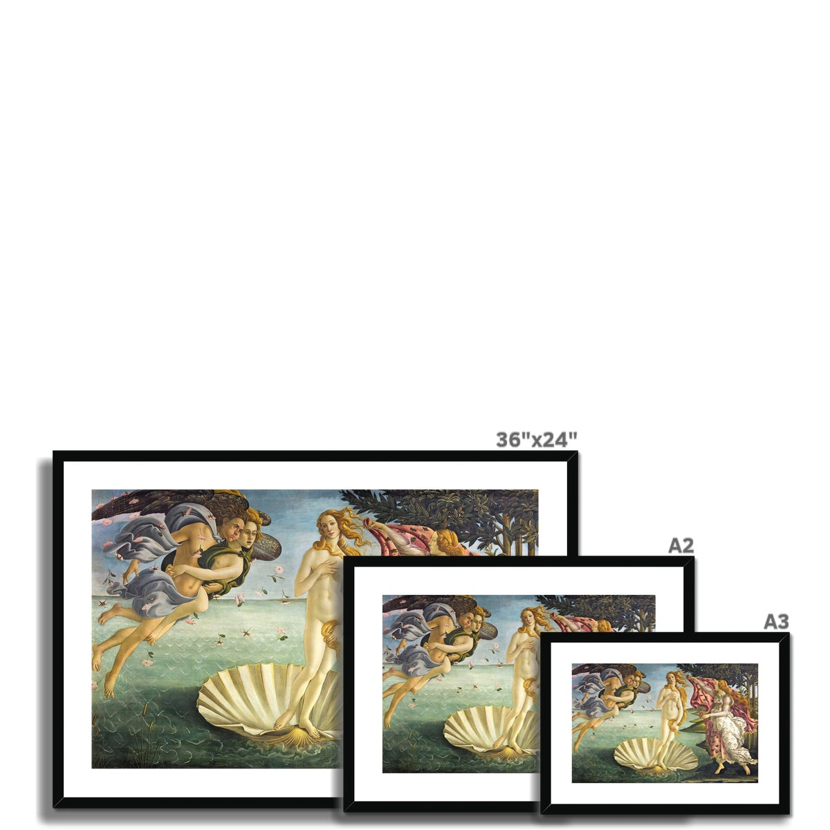 &#39;Birth of Venus&#39;  by Sandro Botticelli. Framed Open Edition Fine Art Print. Historic Art