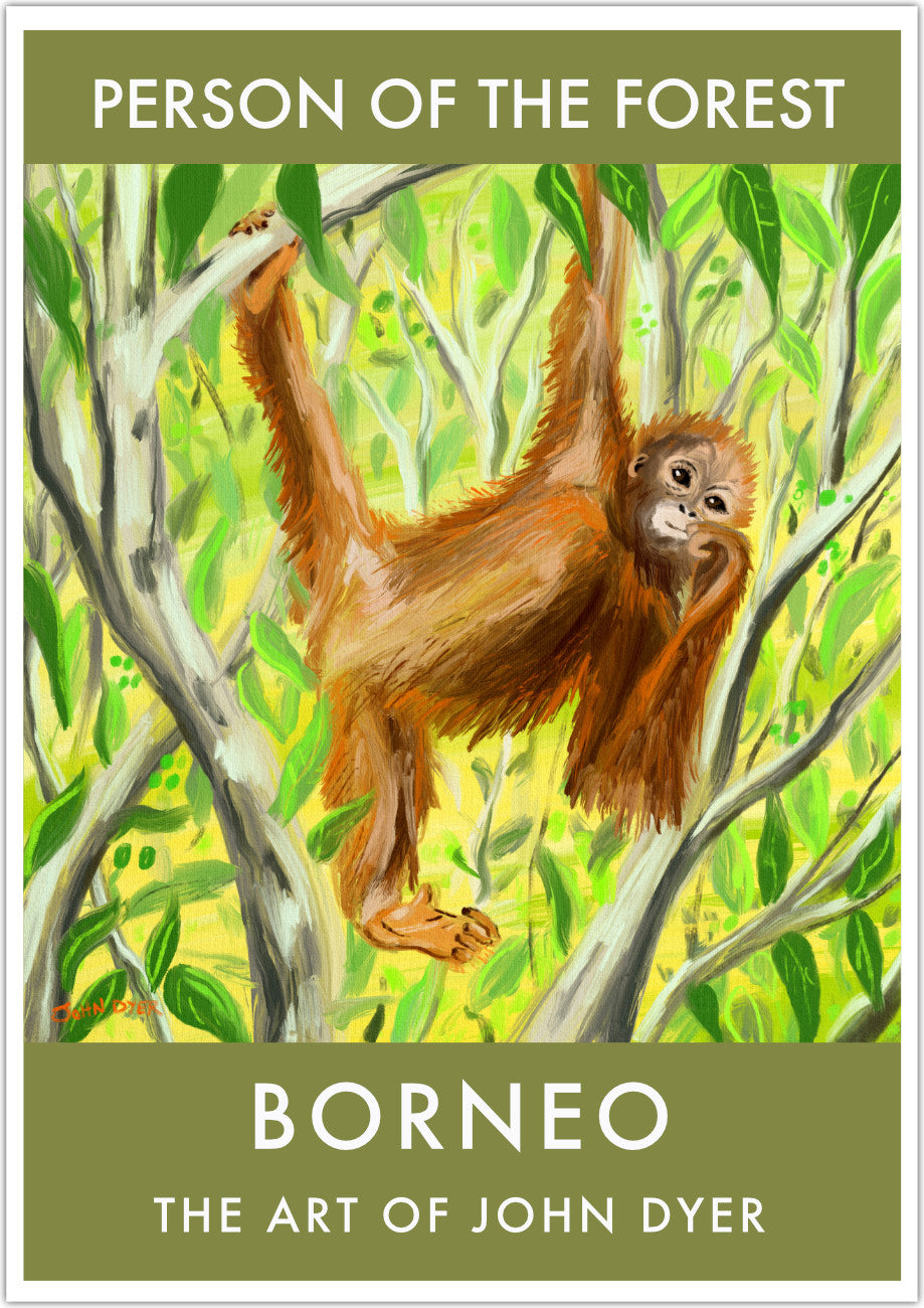 A high quality fine art wall poster print featuring a drawing by British artist John Dyer of a baby orangutan feeding on Ubar fruits in the Borneo rainforest. John Dyer completed the drawing deep in the rainforest of Borneo whilst living with the orangutans and this poster print is a perfect framed or unframed piece of art for everyone who loves orangutans and the Borneo rainforest. Available unframed or framed in a wide variety of sizes.
