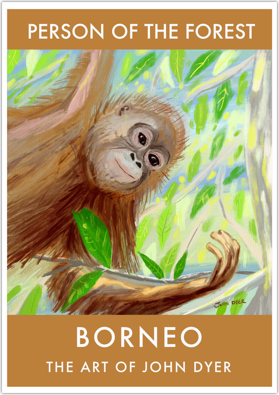 This fine art wall poster print features a beautiful drawn portrait by artist John Dyer of a baby orangutan in the rainforest of Borneo. This critically endangered species is known as the &#39;Person of the Forest&#39; and this delightful art poster print wonderfully captures the personality and magic of this possibly soon to be extinct species. Available framed or unframed in a wide variety of sizes.