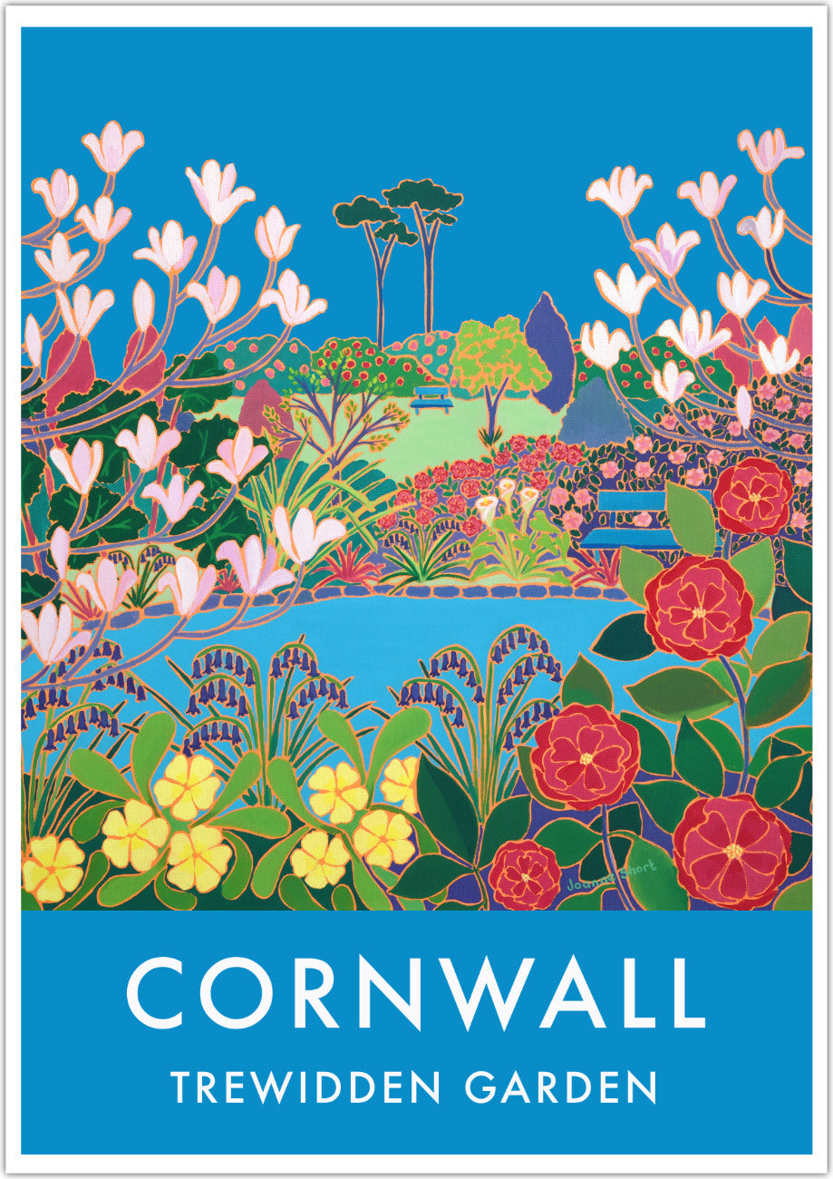 Cornwall wall art poster print of the Cornish garden of Trewidden near penzance by Cornish artist Joanne Short. Trewidden Garden near Penzance in Cornwall commissioned Joanne Short to create this stunning picture of the glorious spring flowers & landscape that makes this garden so special. The Peter Veitch Magnolia tree flowers against the perfect Cornish blue sky. Camellias, primroses & bluebells surround the pond & our eye is drawn through the picture to the garden benches and the tranquility they evoke.