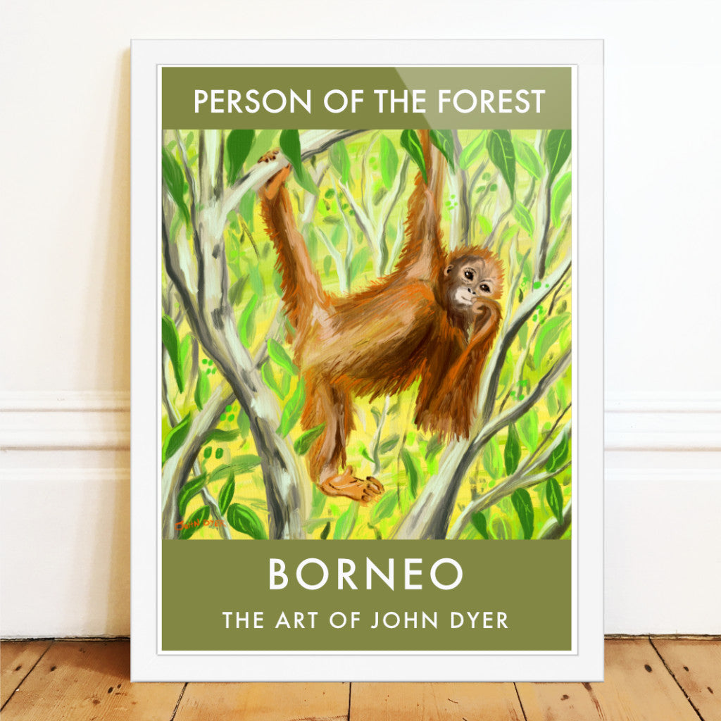 A high quality fine art wall poster print featuring a drawing by British artist John Dyer of a baby orangutan feeding on Ubar fruits in the Borneo rainforest. John Dyer completed the drawing deep in the rainforest of Borneo whilst living with the orangutans and this poster print is a perfect framed or unframed piece of art for everyone who loves orangutans and the Borneo rainforest. Available unframed or framed in a wide variety of sizes.