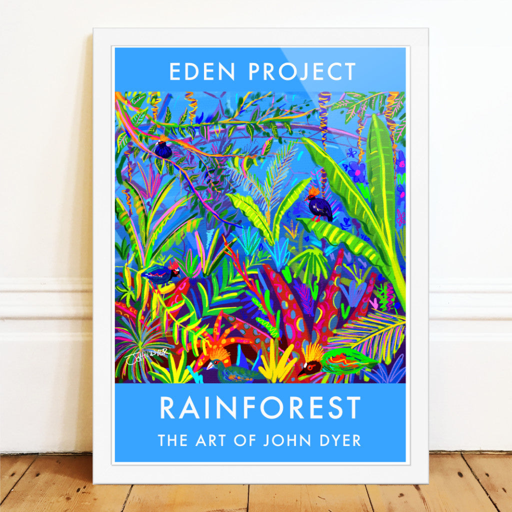 John Dyer Eden Project art poster print. The fun and colourful Roul Roul birds in the Eden Project rainforest biome are the subjects of this fantastic John Dyer fine art poster print. The amazing shapes and colours of the rainforest plants create the perfect setting for these comical birds as they explore the undergrowth and perch on the plants. John Dyer is the artist in residence for the Eden Project.