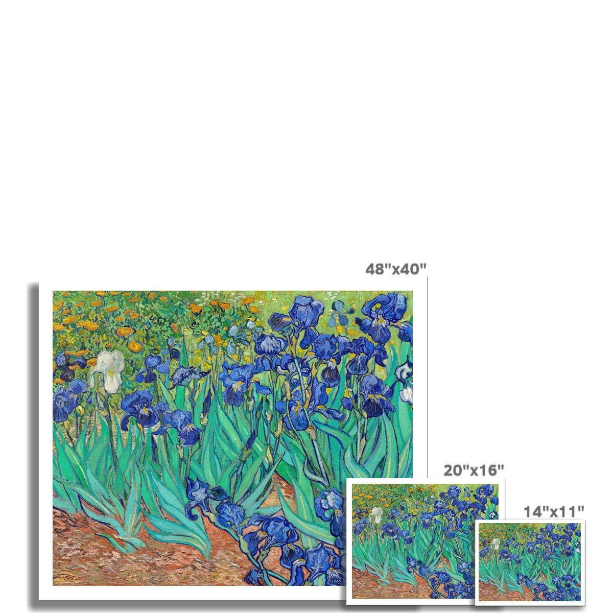 &#39;Irises&#39; by Vincent Van Gogh. Open Edition Fine Art Print. Historic Art