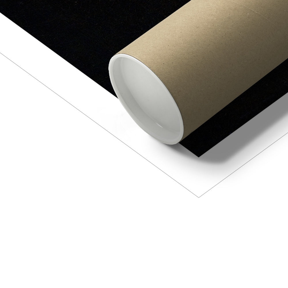 'Roses, Carnation, Marigolds and other Flowers with a Sunflower and Striped Grass'. Still Life by Maria van Oosterwijck. Open Edition Fine Art Print. Historic Art