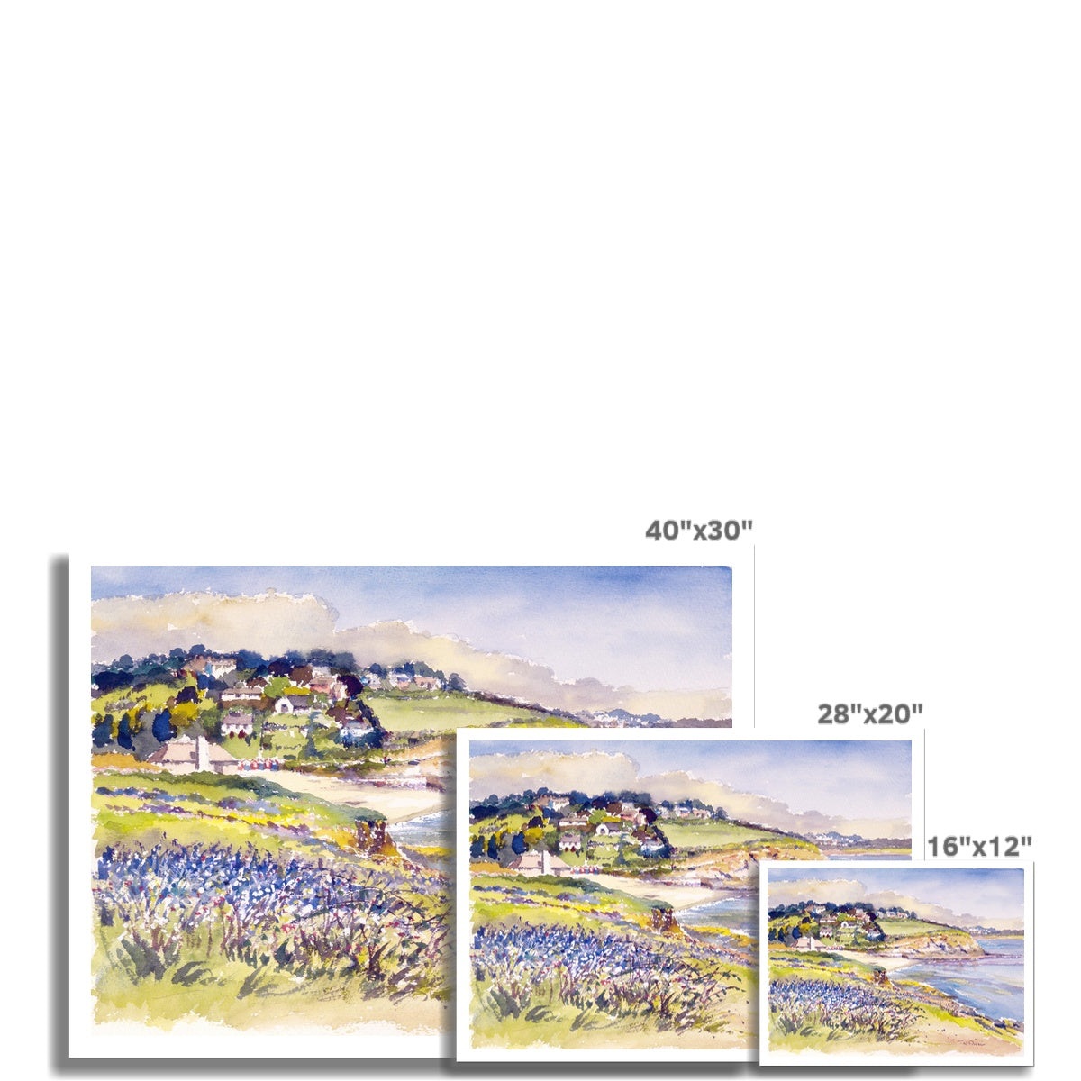 Ted Dyer Fine Art Print. Open Edition Cornish Art Print. &#39;Bluebells on the Cliff, Swanpool&#39;. Cornwall Art Gallery