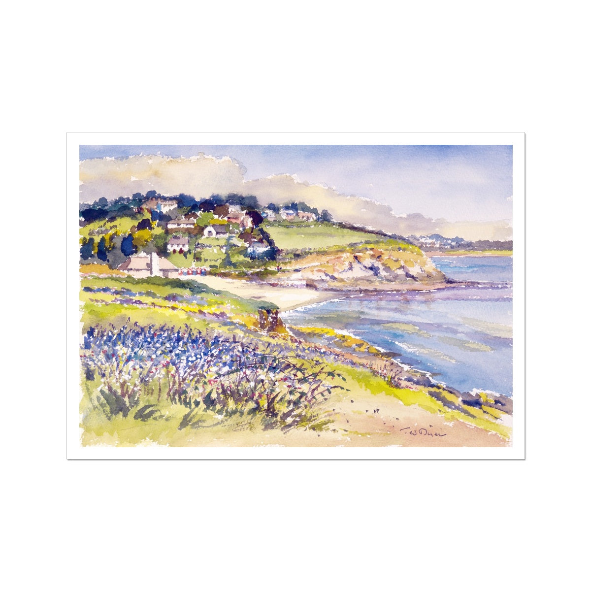 Ted Dyer Fine Art Print. Open Edition Cornish Art Print. 'Bluebells on the Cliff, Swanpool'. Cornwall Art Gallery