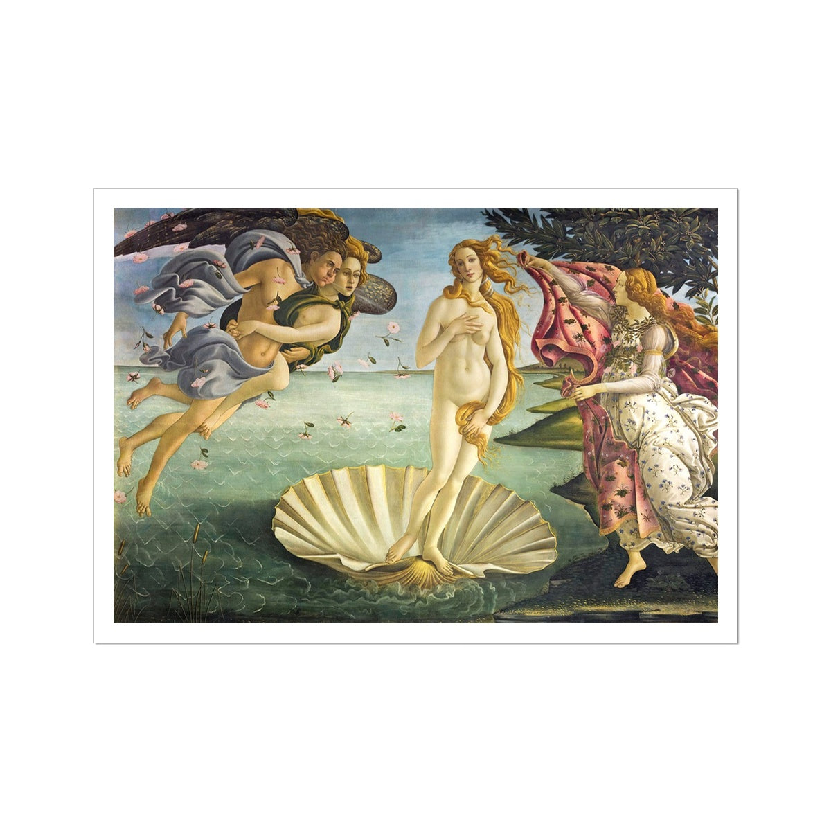 'Birth of Venus' by Sandro Botticelli. Open Edition Fine Art Print. Historic Art