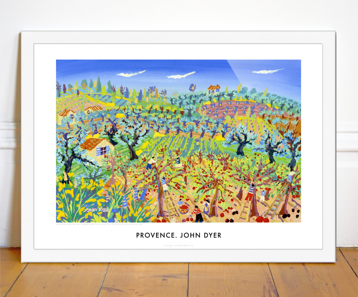 Framed wall art poster print of Provence cherry harvest near to Nyons by artist John Dyer