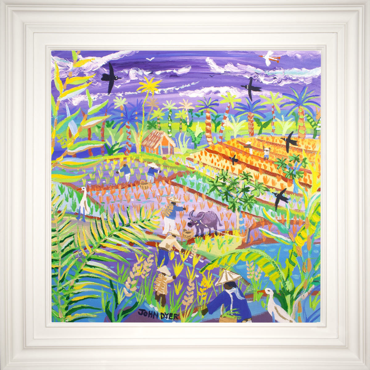 &#39;Water Buffalo and Rice Terraces, the Philippines&#39;. 24x24 inches acrylic on canvas. Paintings of Philippines by John Dyer from our Online Art Gallery