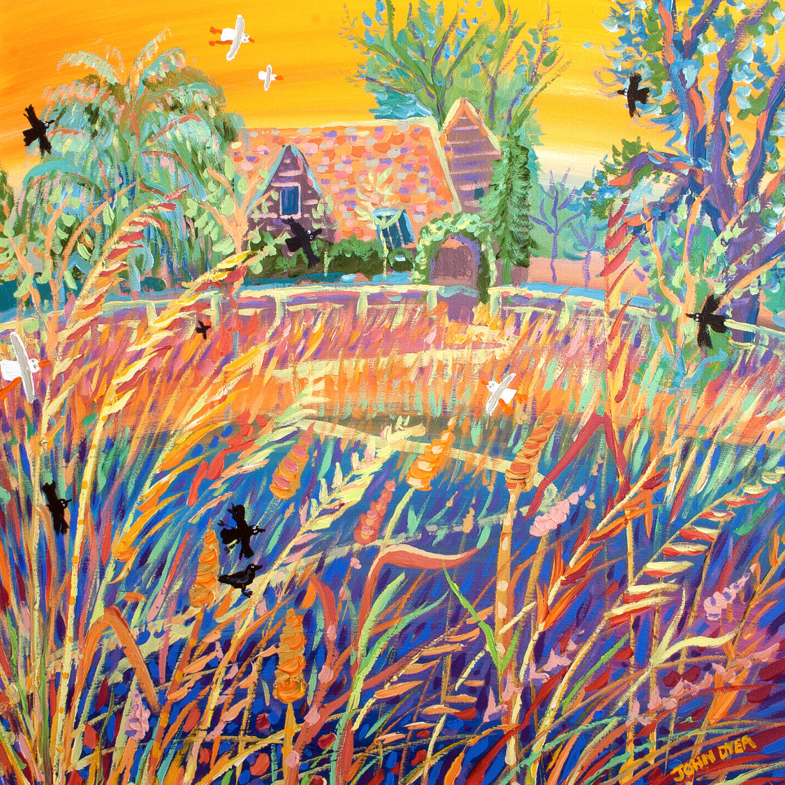 At the end of Kim Wilde's garden she has a wonderful meadow that by late August is full of dried grasses. A path is cut through the grass and the rest is left for birds and wildlife. John Dyer sat amongst the grasses to paint this delightful painting of the view back towards Kim's barn in Hertfordshire. A rich yellow sky with orange grasses and deep blues create a wonderful feel of warmth.